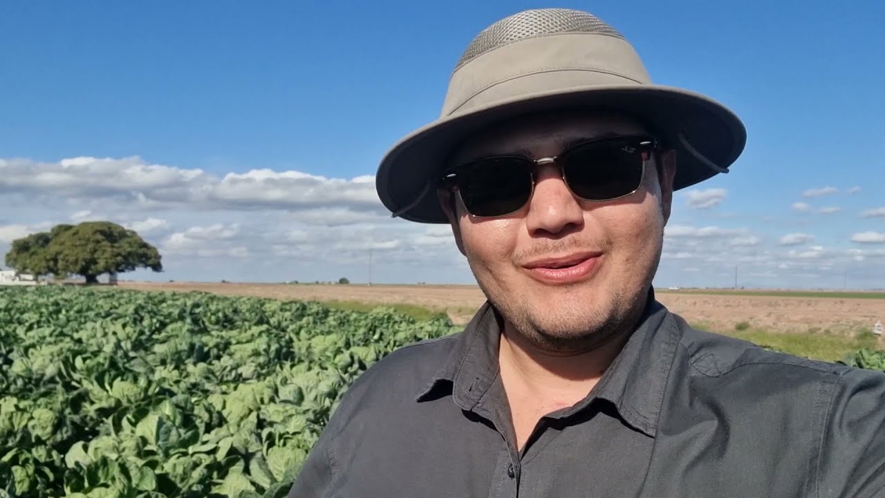 Aplicacion de Hidroxido de cobre en la agricultura