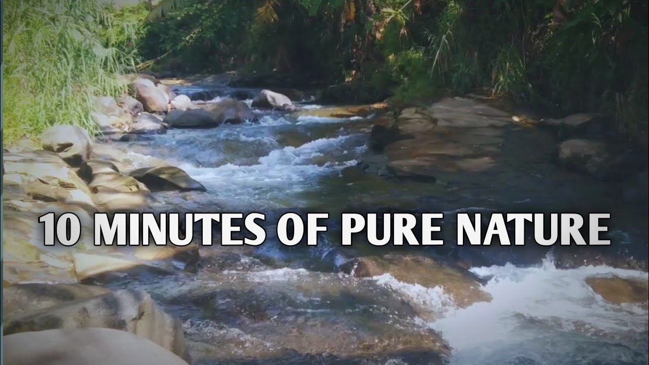 10 Minutes Peaceful Forest River Sounds in 4K 🌿 | Relaxing Nature Ambience for Study, Focus & Sleep