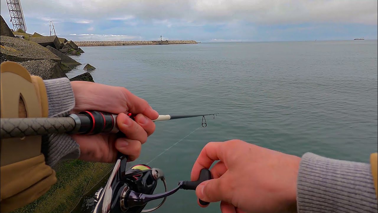 ზღვაზე თევზაობა ცისარტყელა კალმახზე 🐟 Sea fishing for rainbow trout 2023.🎣Daiwa Silver Creek 3-14.