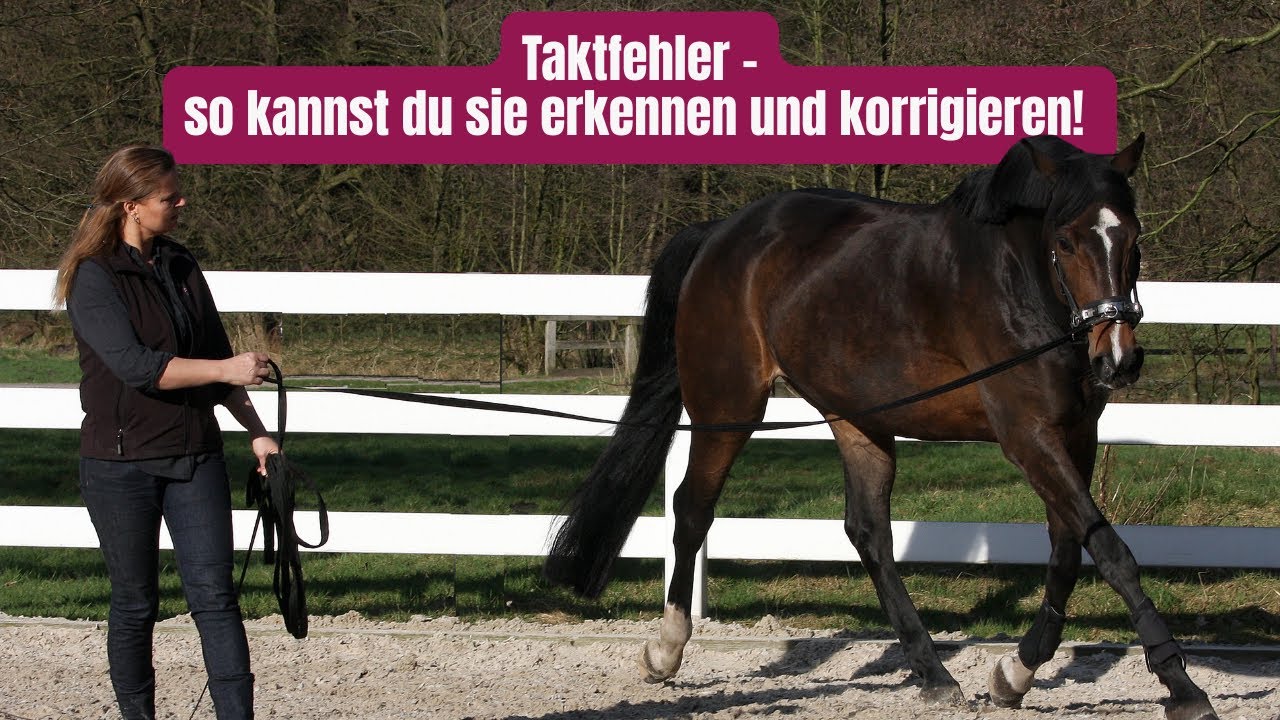 Taktfehler erkennen & korrigieren 🧠 𝗕𝗿𝗮𝗶𝗻𝗳𝗼𝗼𝗱 - Laufmanier verbessern