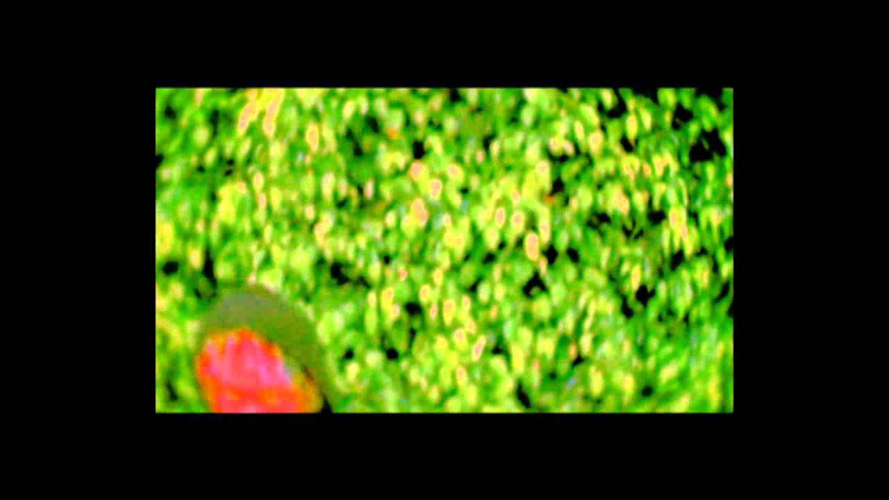 Marcy Mane & Ruben Slikk - Fishmix Walk prod MFK and Snugworth