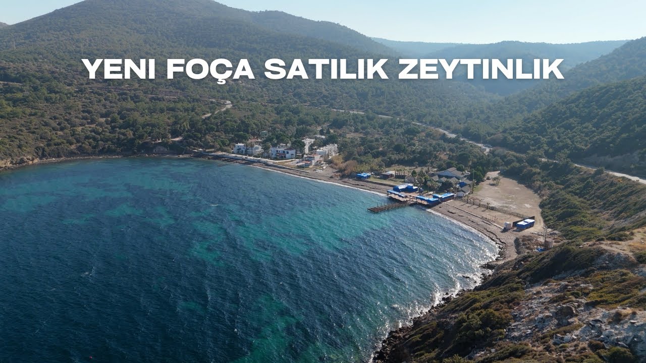İzmir, Yeni Foça’da Emsalsiz Yapı Ruhsatlı Satılık Zeytinlik / Bölüm 8