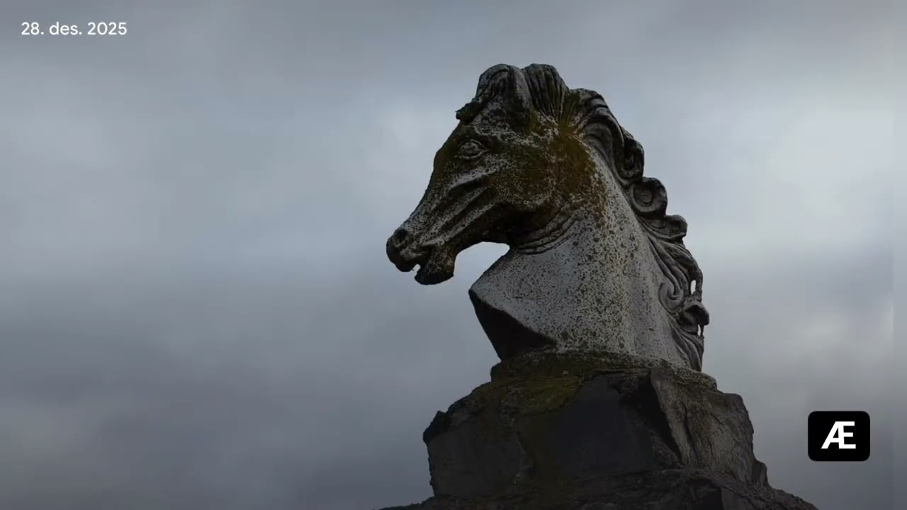 Arilds fotoblogg 1/1-2026 Godt nyttår?