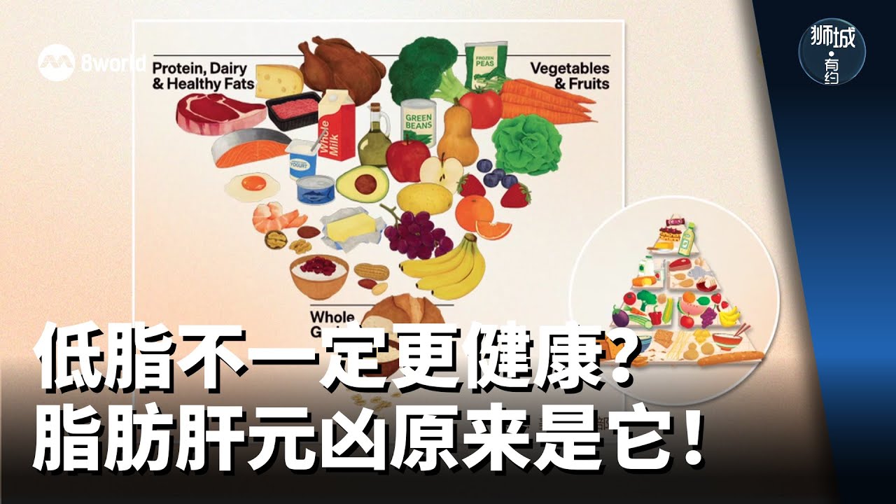 狮城有约  | 太多或太少蛋白质都不好 专家教你怎么吃！