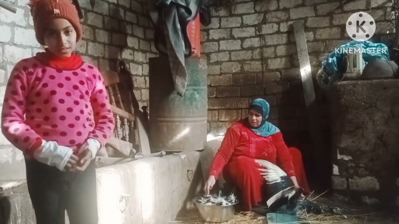تعالى نشوف روتين الصباح عند البط علشان ما يتفرغش بط رمضان هنشوف هنعمل فيه ايه عشان ما يفرقش