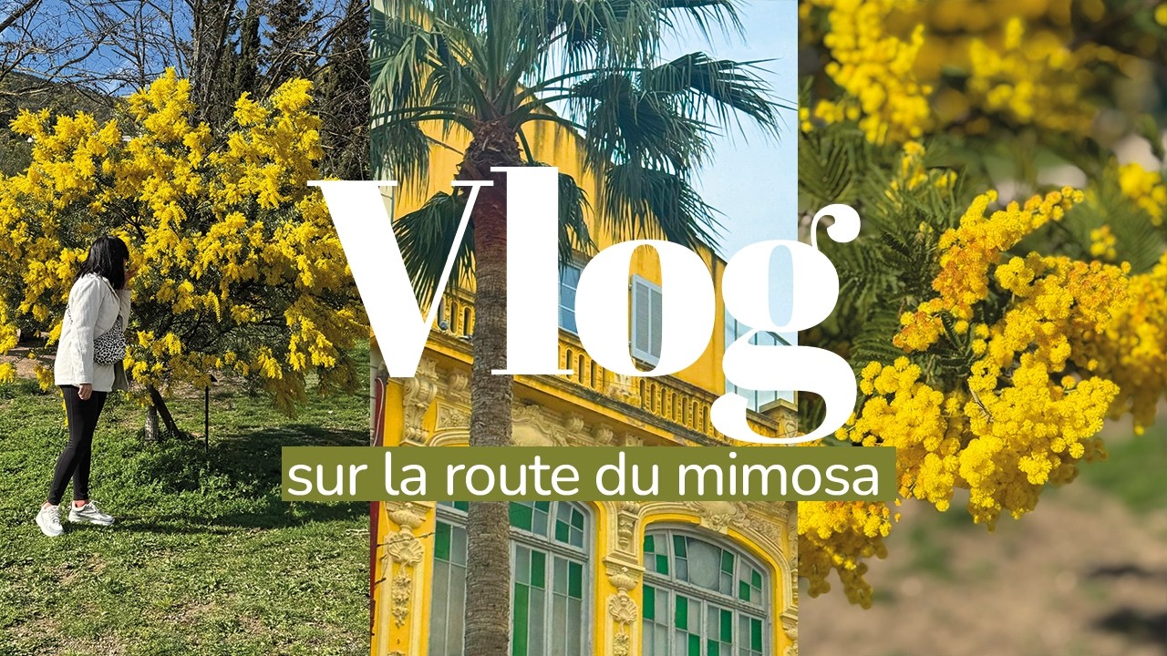 4 jours sur la Route du Mimosa | Vlog à Grasse & sur la Côte d’Azur