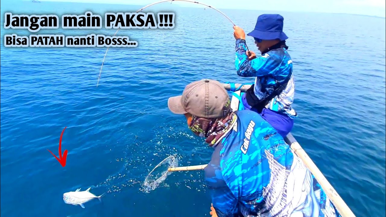 Dipaksa Naik ‼️ Joran Relix Cangkek Alap-Alap 1-3 lb Melengkung Tajam || Ultralight Fishing.