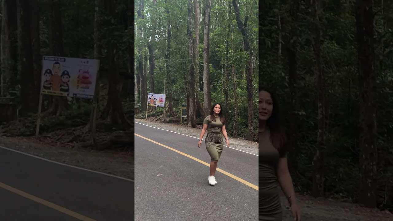 man made forest in philippines 