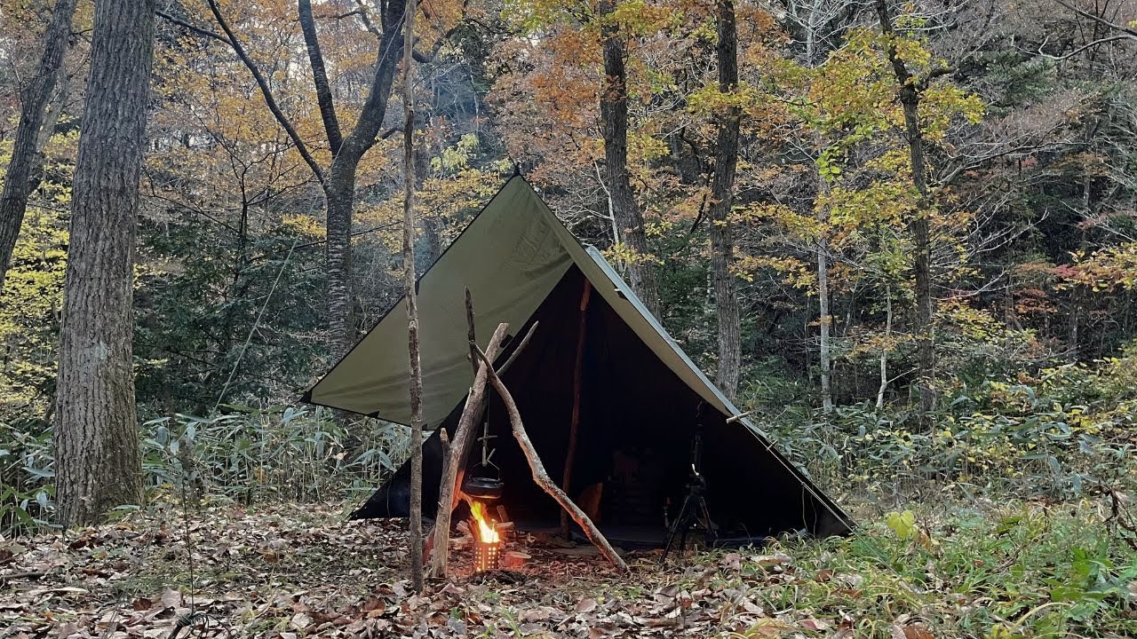 [Solo Camping] Overnight in the Autumn Leaves Forest , Polish canvas poncho , Bushcraft