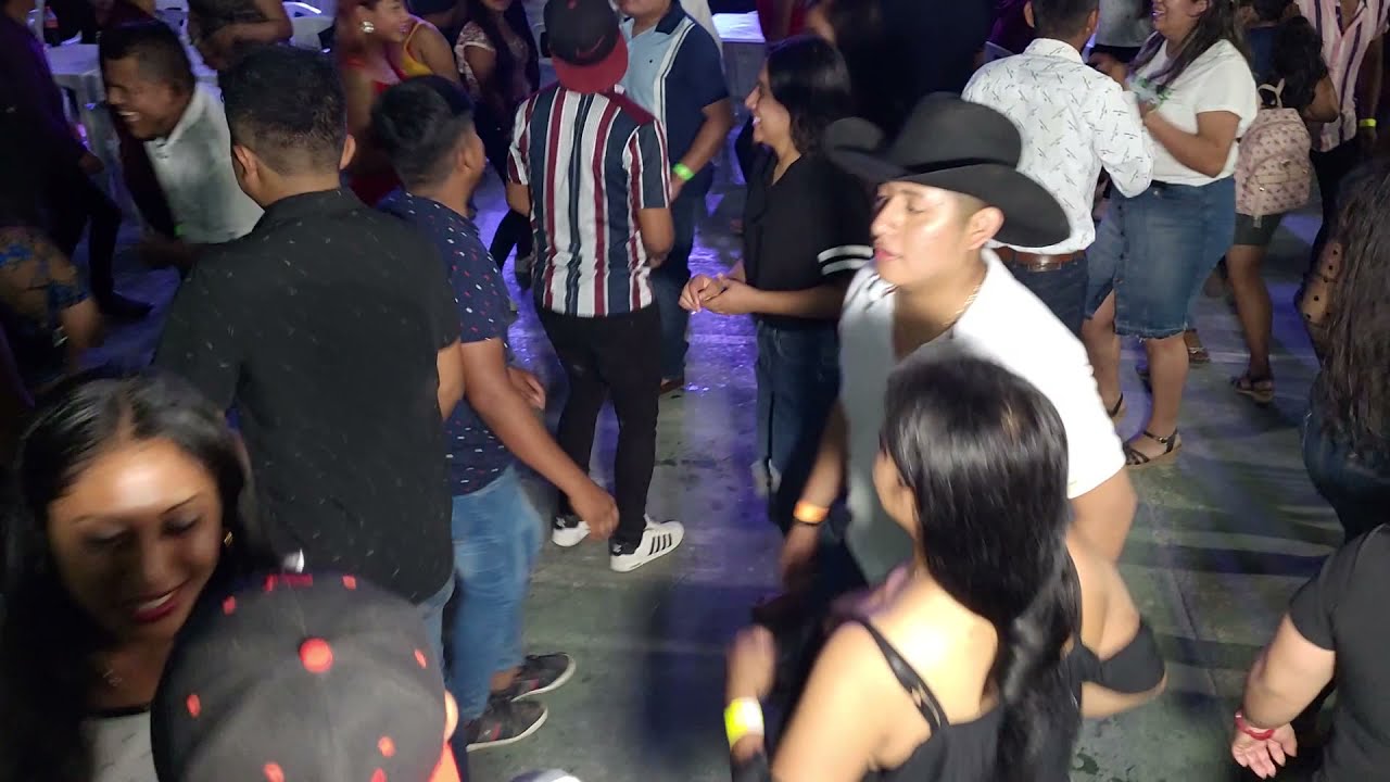 Raza Costeña en Potrerillo del Rincón