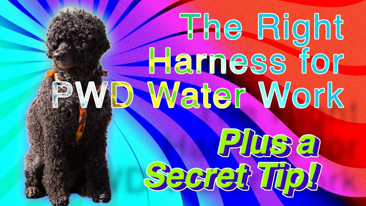 Your Water Harness-4K