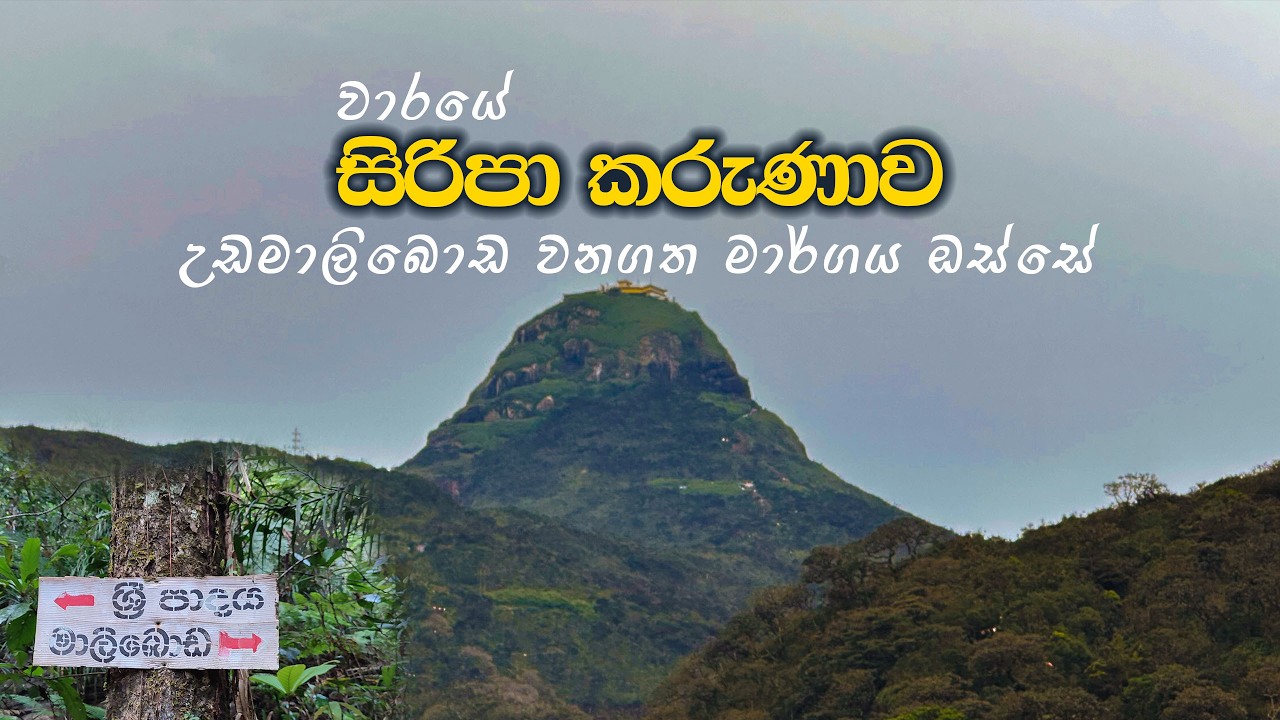 උඩමාලිබොඩ වනගත මාර්ගය ඔස්සේ සිරිපා කරුණාව!🙏 Udamaliboda SriPada Trail