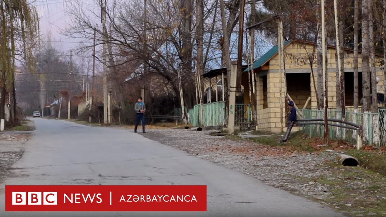 Şəkidə məhv olunan meşələr. Müxbirlərimiz orada nə gördü?