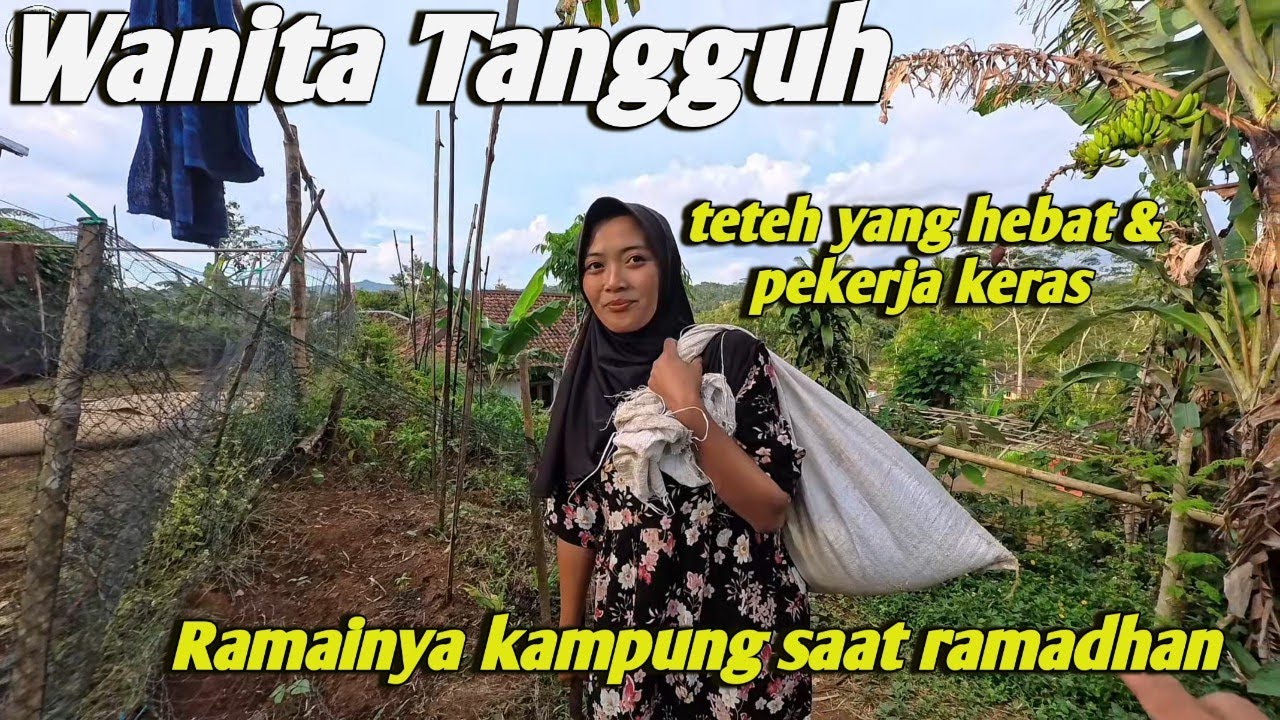 Tak kenal lelah, Wanita tangguh pemikul padi