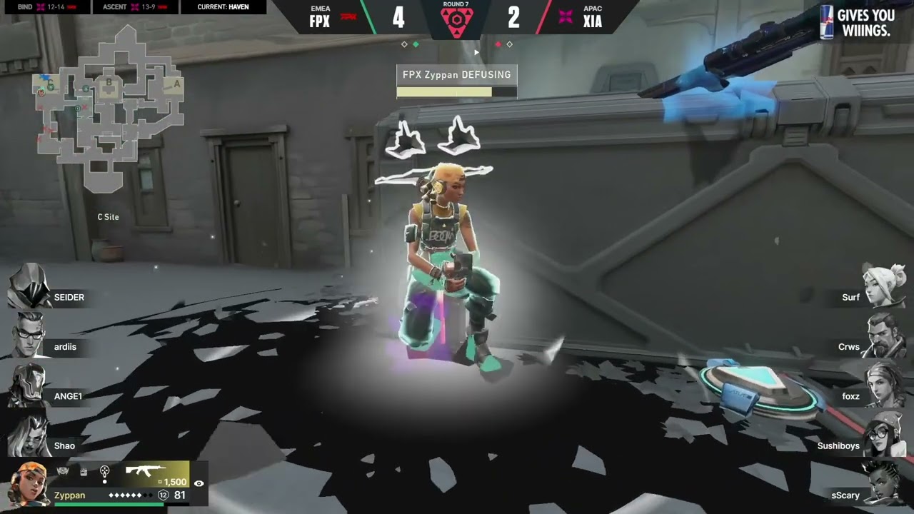 Zyppan Spray