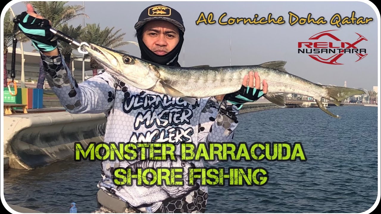 Episode 21 | Monster Barracuda | Corniche Doha Qatar | Shore Fishing #fishing #fish #adventure