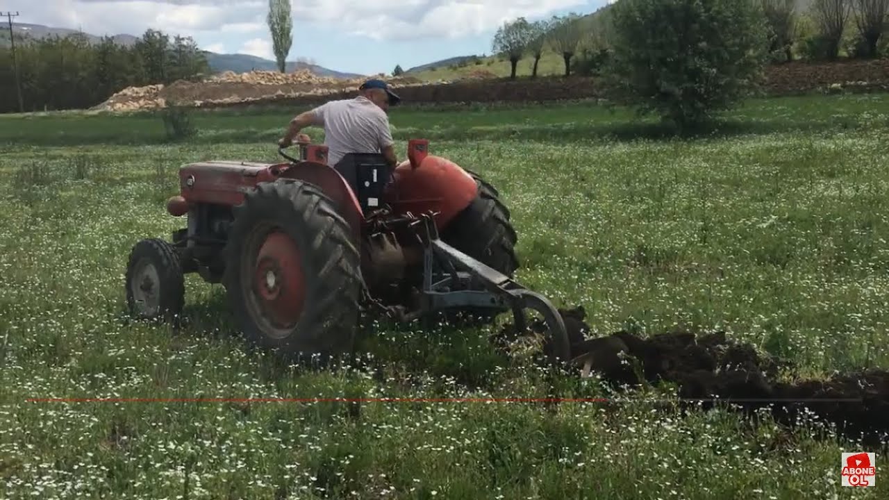 Massey Ferguson 135 liğin Klasik İşleri