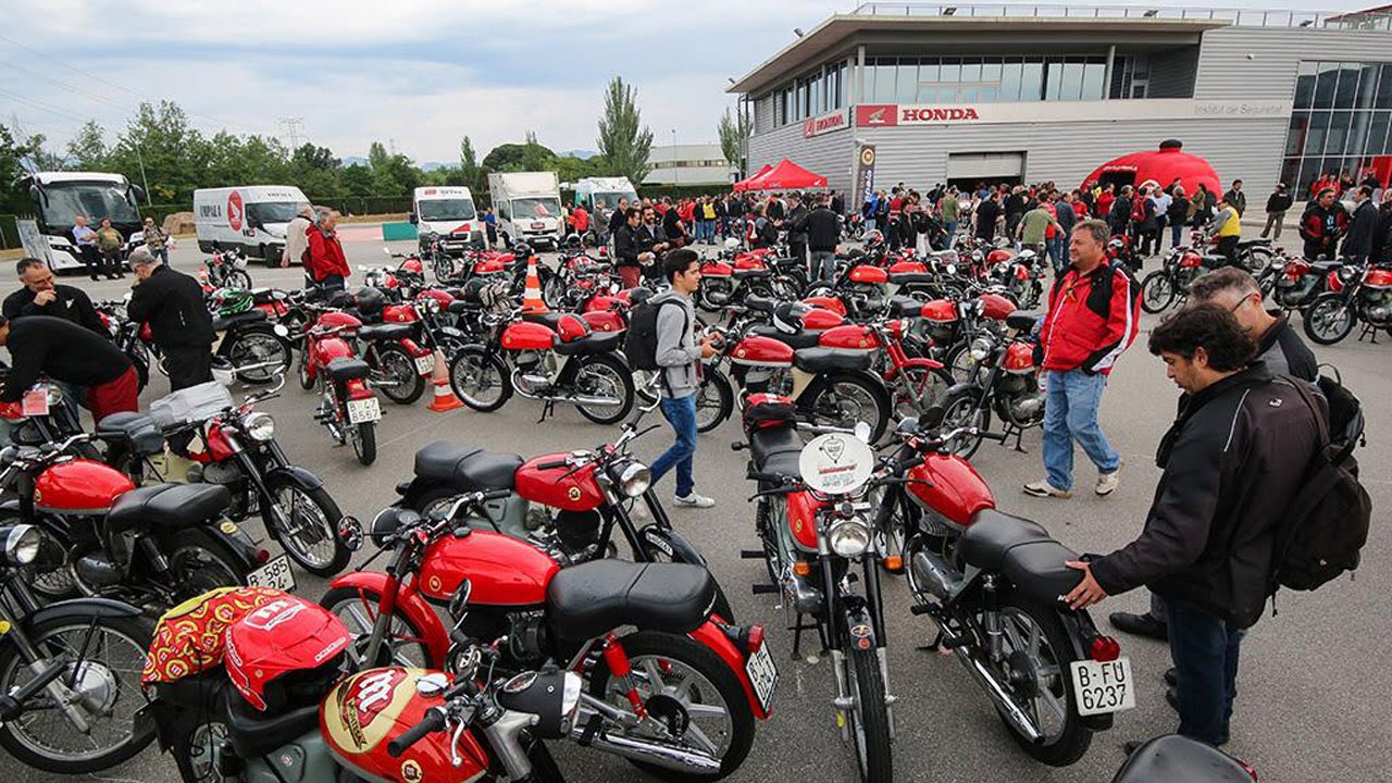 Impalada 2016
