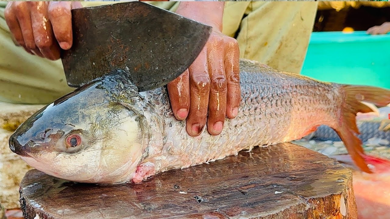 Amazing Cutting Skills | Giant Rohu Fish Cutting Skills By Expert Fish Cutter|Fish Cutting Skills |