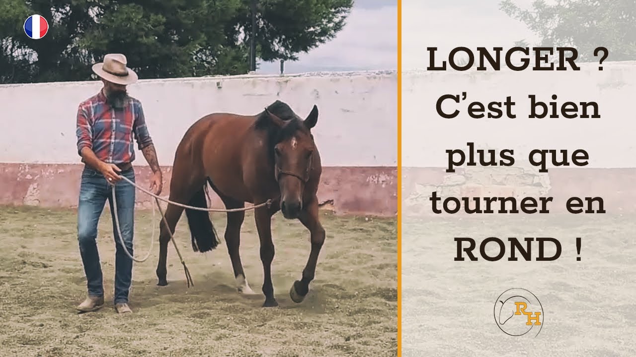 Longer un Cheval : les Bases Indispensables pour son Éducation | Guide Pas-à-Pas du Travail au Sol