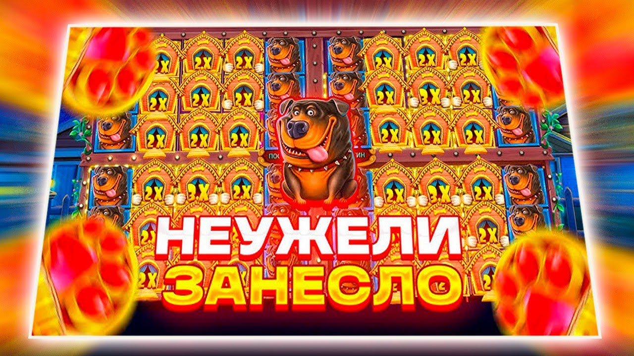 ДОЖАЛИ И ЗАНЕСЛИ В THE DOG HOUSE MULTIHOLD ПО ВКУСНОЙ СТАВКЕ! ЗАКРЫЛИ ПОЛЯНУ БУДОК И ВСЕ БАРАБАНЫ!