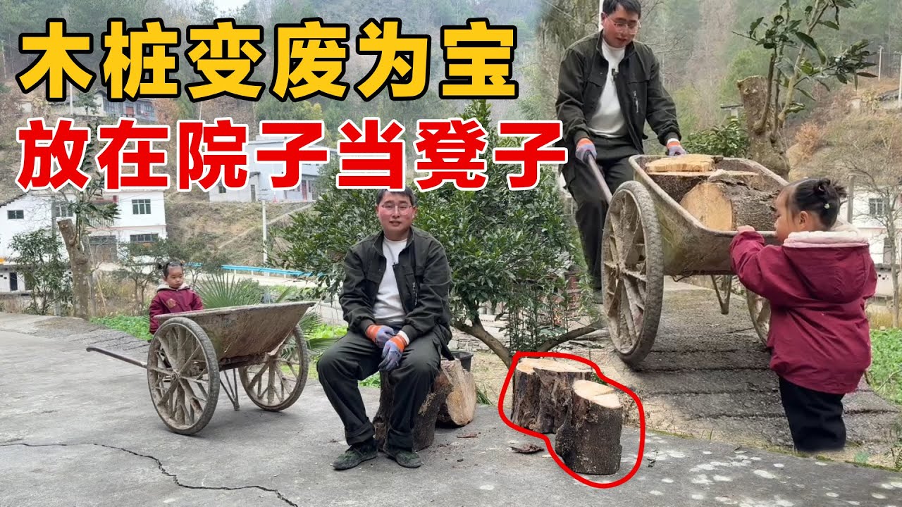 好木桩留着做凳子和种花，放在院子里太合适了，剩下的全部劈掉给爷爷当柴烧
