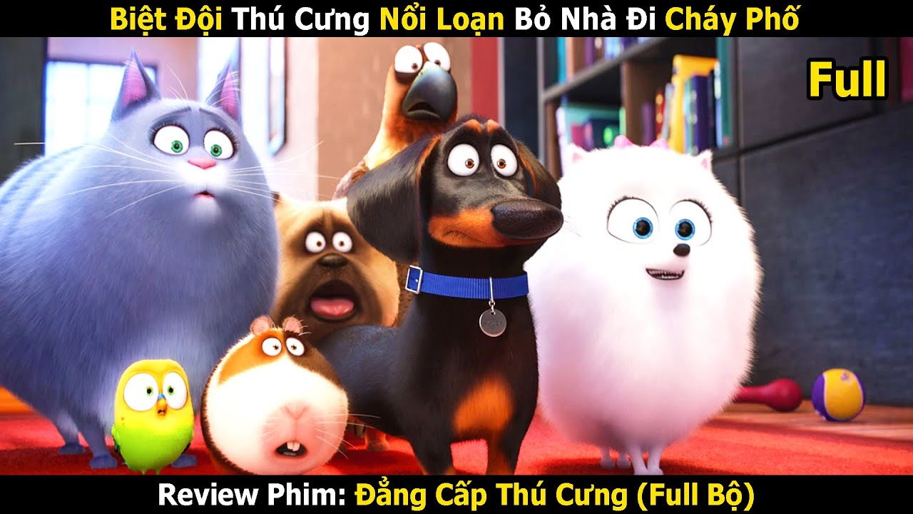 Review Phim: Biệt Đội Th&uacute; Cưng Nổi Loạn Bỏ Nh&agrave; Đi Ch&aacute;y Phố | Đẳng Cấp Th&uacute; Cưng (Full 1-2)
