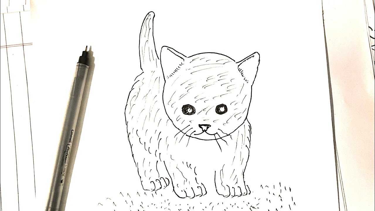 How to draw a cute Cat easily step by step