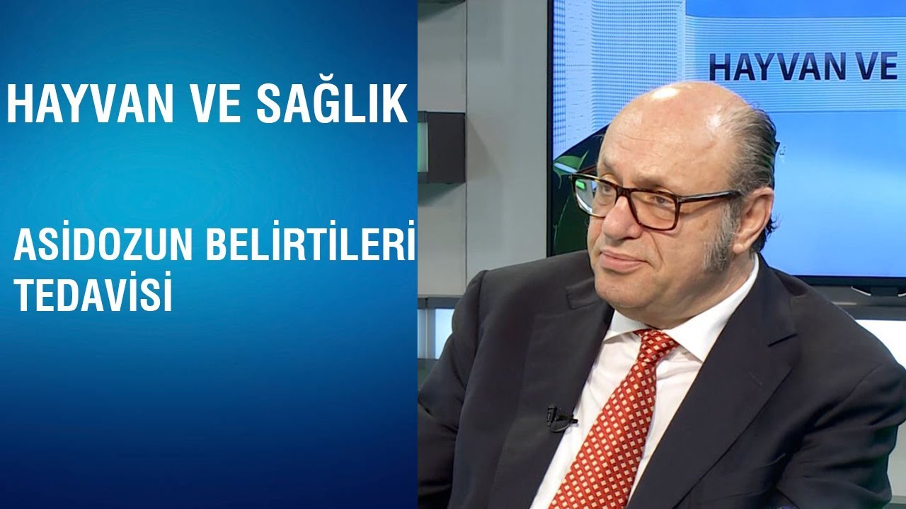 Hayvan Ve Sağlık | Ani Yem Değişikliklerin Zararları
