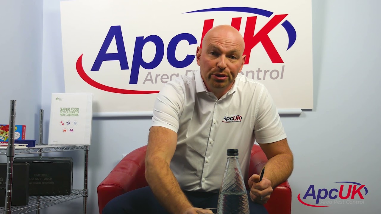 What Are Food Hygiene Ratings? Episode 1