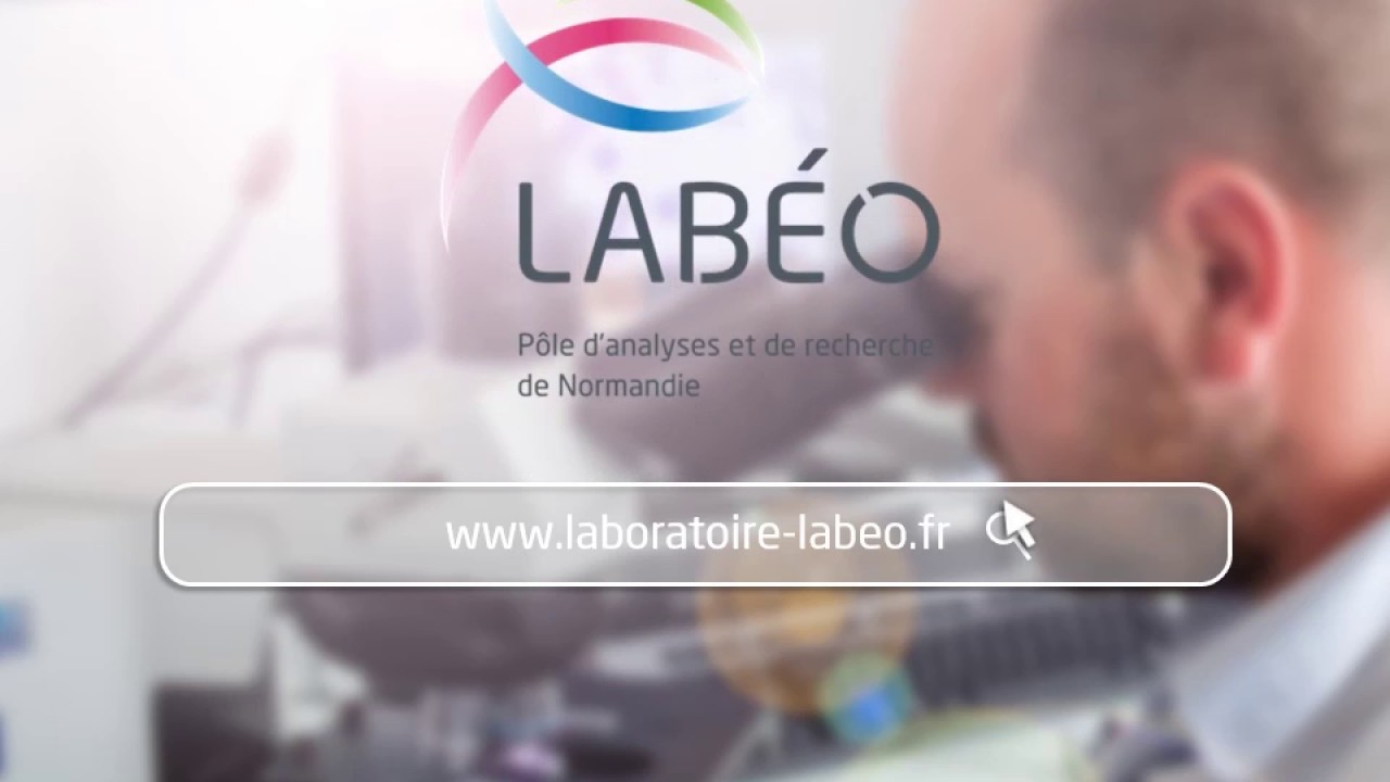 Design motion lancement site web LAB&Eacute;O