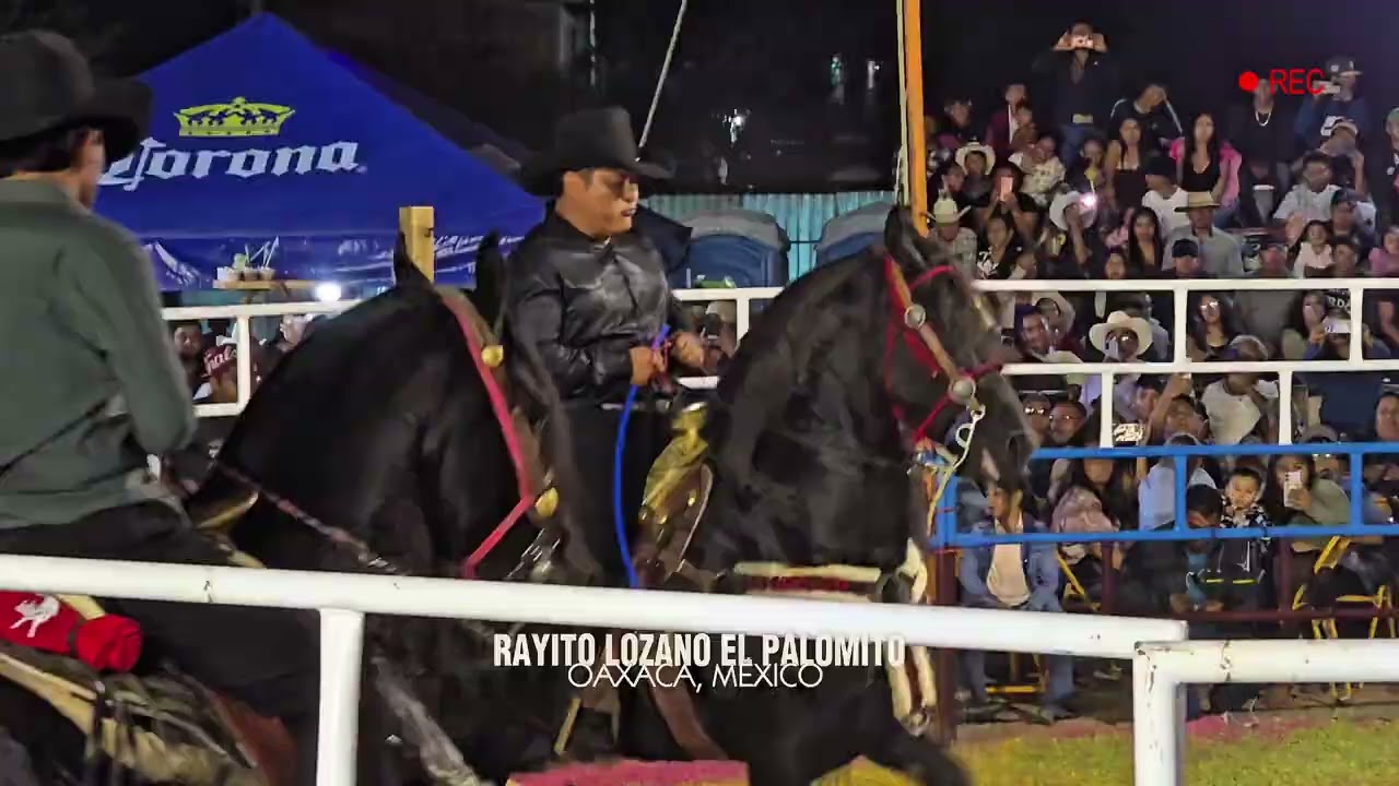 Caballos bailadores de Cuadra Solis - Santa Cruz Tacache de Mina Oaxaca - Rayito Lozano el Palomito 