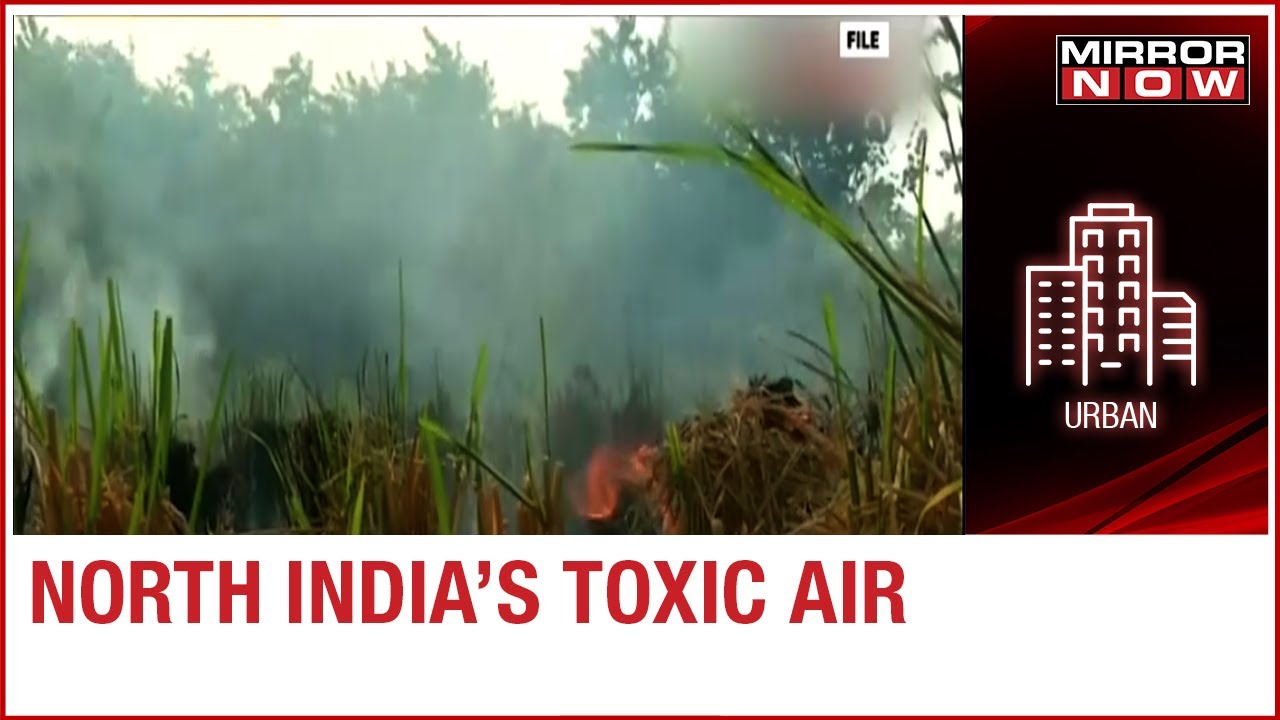 Stubble burning continues in Punjab; farmers claim received no compensation from government