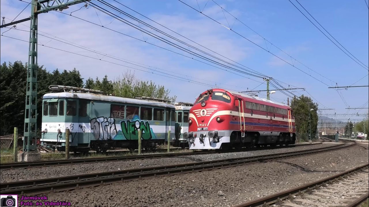 2020.04. | Nohabok a H5-ös HÉV vonalán 2020 tavaszán