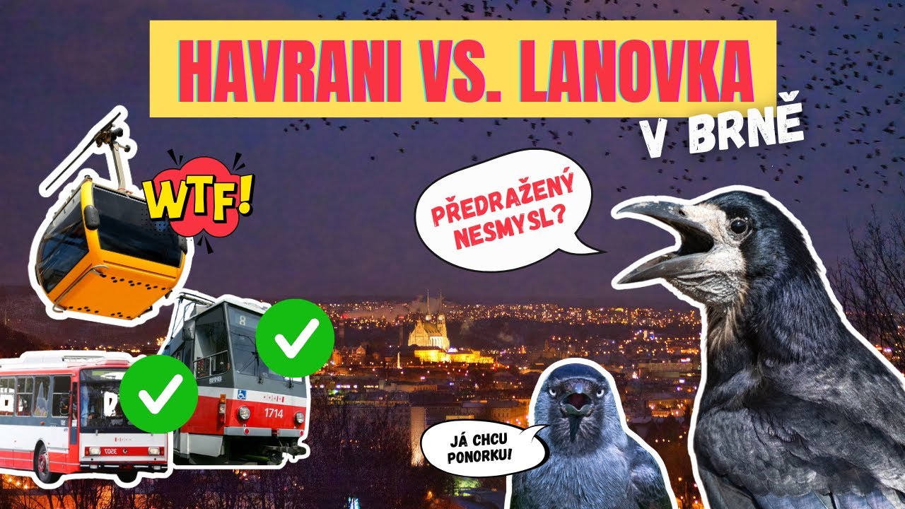 Havrani vs. lanovka v Brně. Předražený nesmysl?
