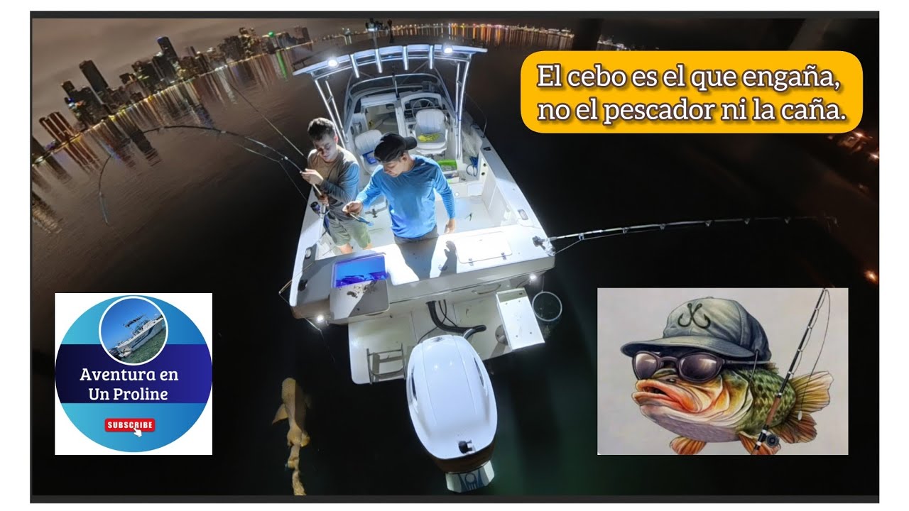 Esta fue la pesca de los TIBURONES MOLESTAR 