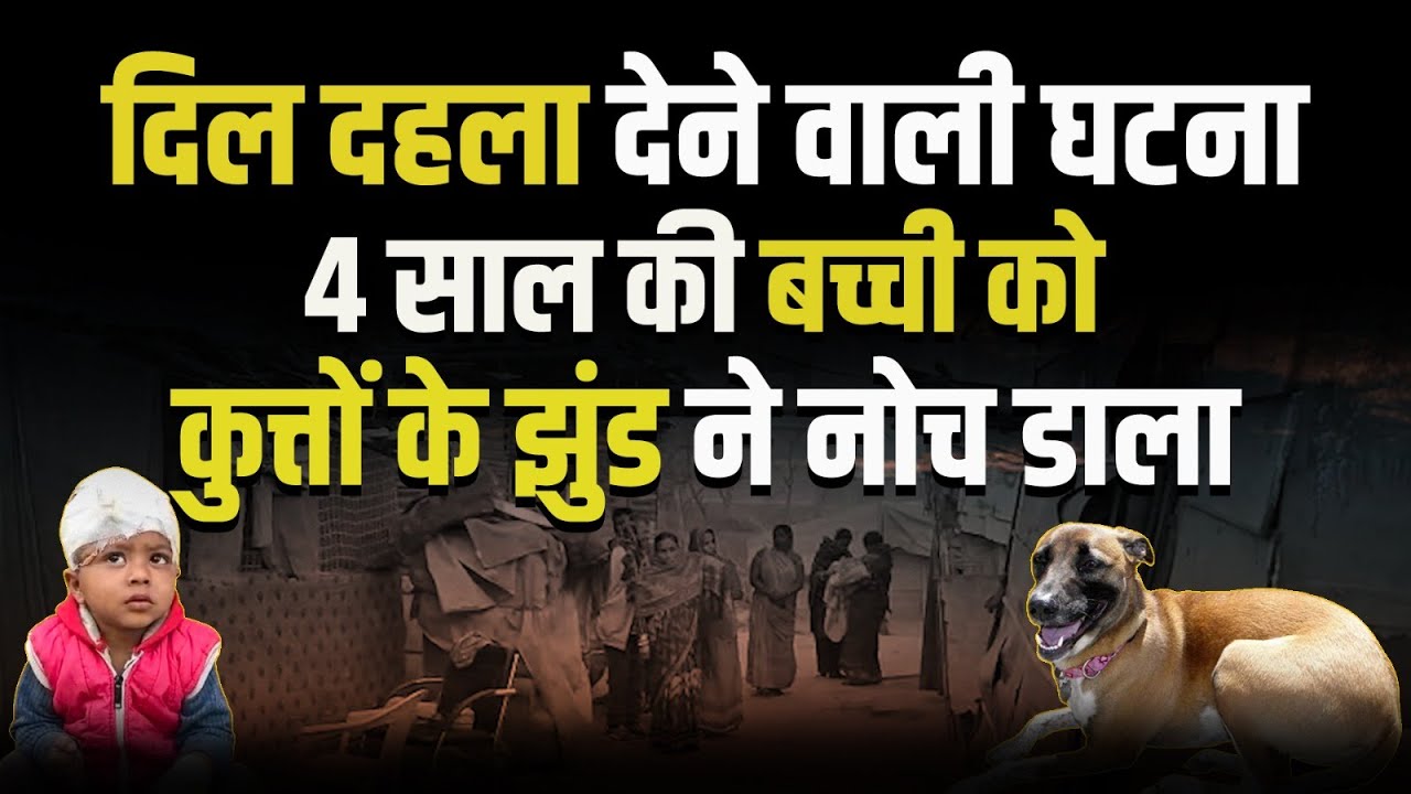 Dog attack News : हैरान कर देने वाला मंजर! 4 साल की मासूम पर कुत्तों का हमला