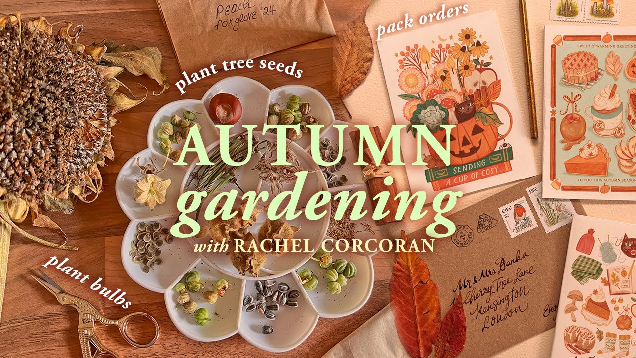 Autumn Gardening Diary, Planting Bulbs & Trees in my Little Irish Garden ✿ Cosy Day in My Studio