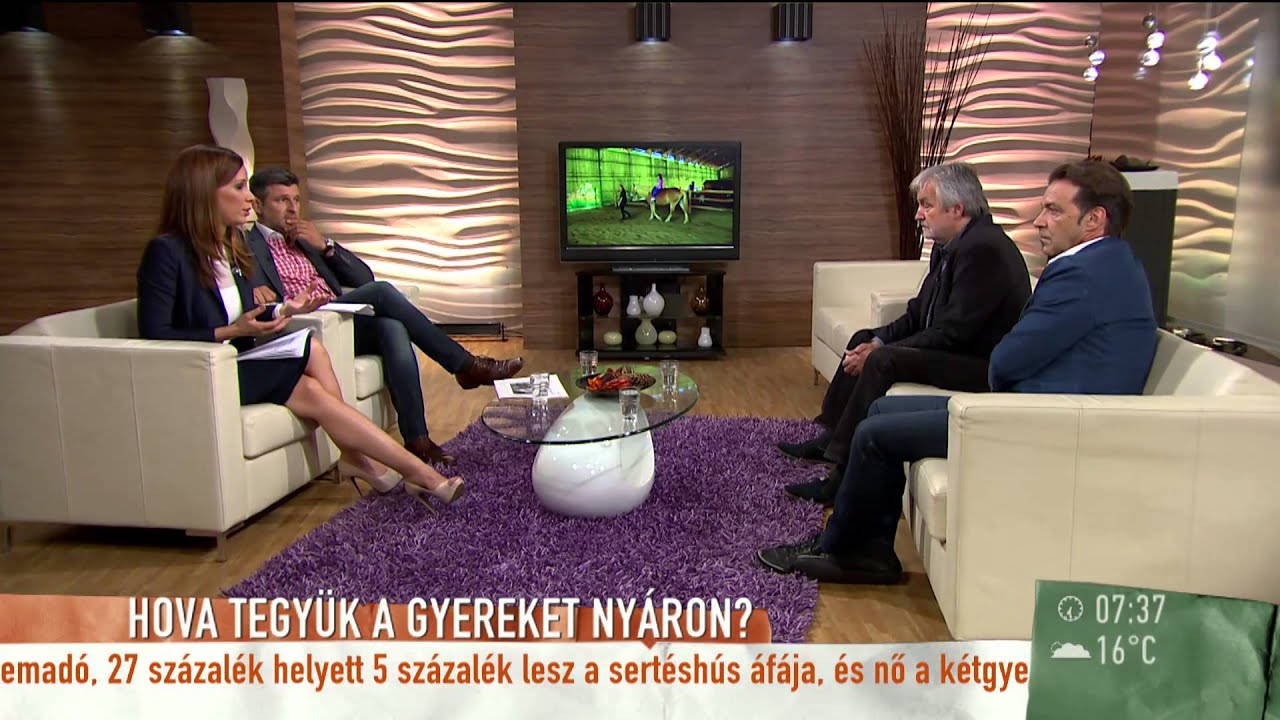 Hov&aacute; teszi Hajas Laci a gyerekeket ny&aacute;ron? - 2015.06.17. - tv2.hu/mokka