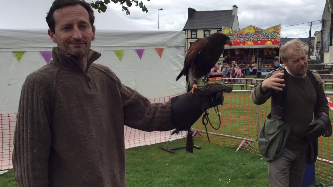 Hawk Holdin’ Experience only €2