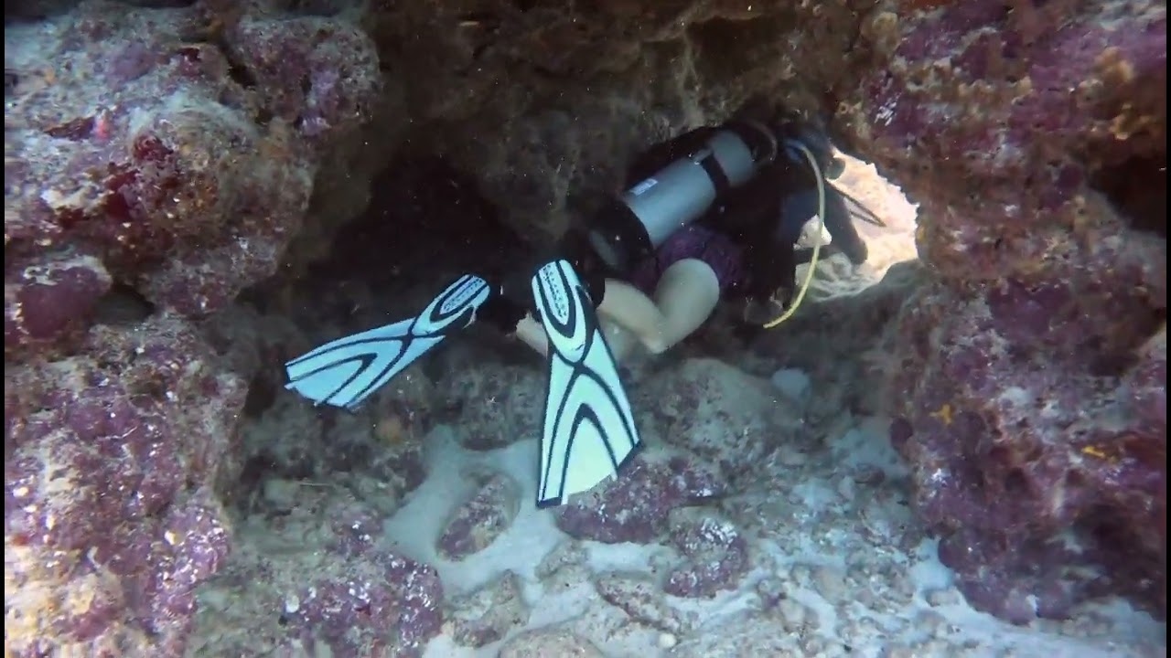 Swimthrough in French Reef