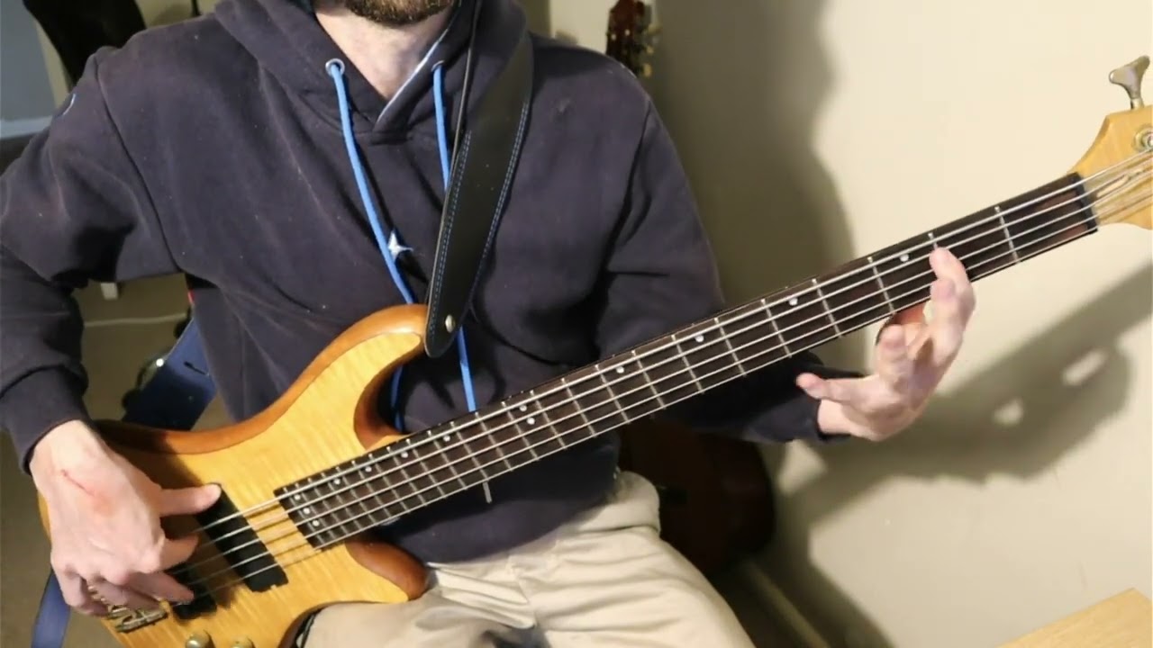 Amberian Dawn - Warning (Bass Cover)