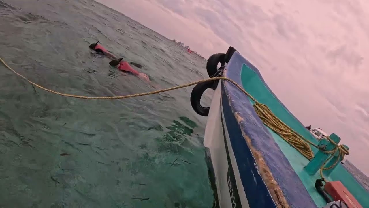 Snorkeling in Paradise | Crystal Clear Waters & Marine Life Adventure 🌊🐠
