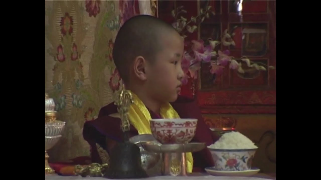 H.H. Sakya Trizin granting Sakyapa religious Crown 尊贵的蕯迦法王正式向第六世塔立仁波切转世灵童授予蕯迦法冠