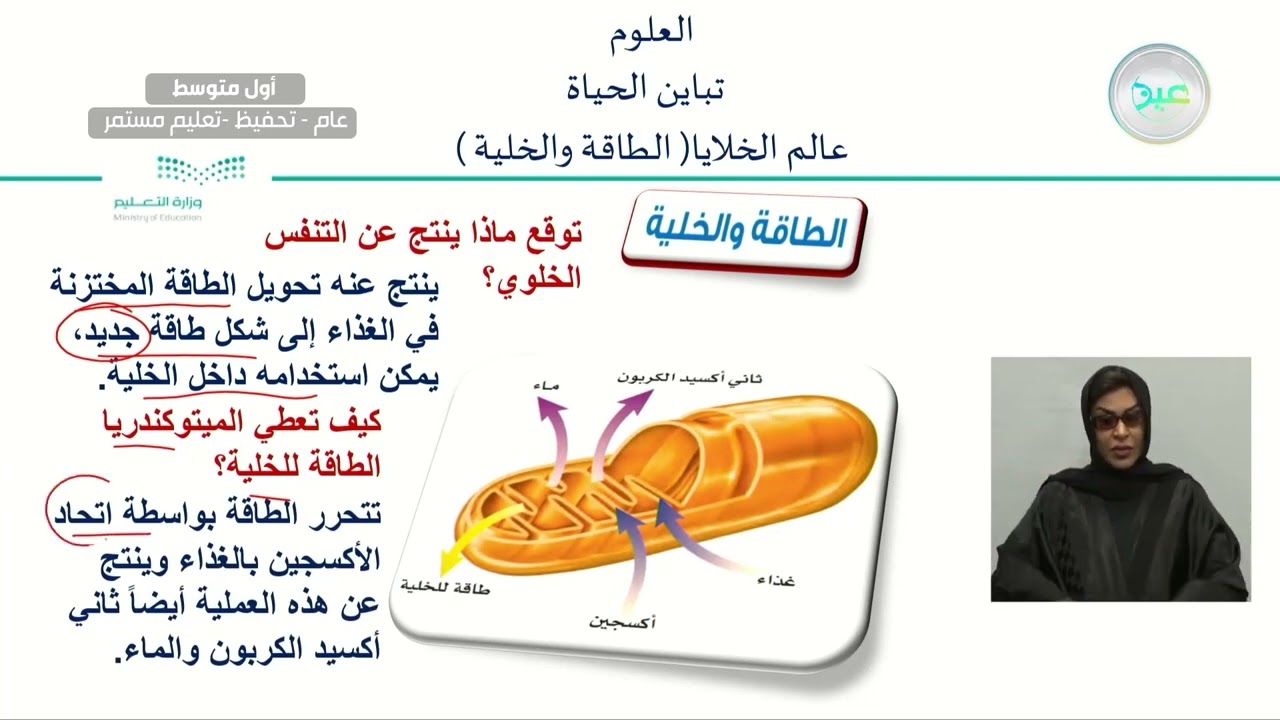 عالم الخلايا ( الطاقة والخلية ) - العلوم - أول متوسط