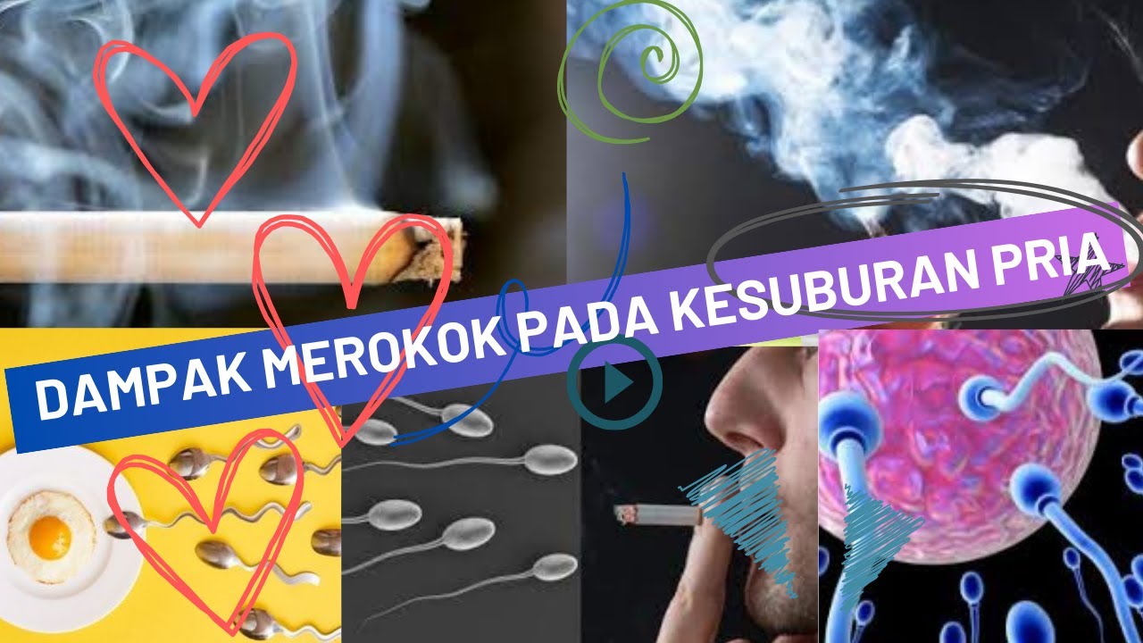 Dampak Merokok pada Kesuburan Pria - RJN Health - Informasi Kesehatan.