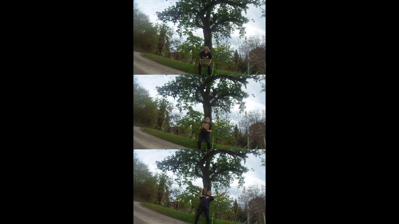 SUNDAY AFTERNOON WALK/43 kg schweren Stein schultern: 1x1 👍🏻💪🏻😊❤️🤝🐶🐶🏋🏻🪨🌾🌳🌲🏚🏞☁️