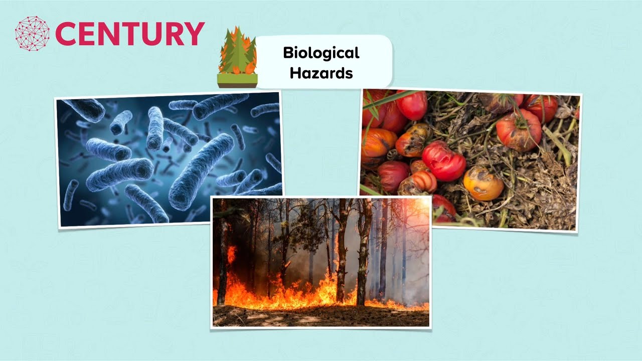 Types of Natural Hazard | Geography