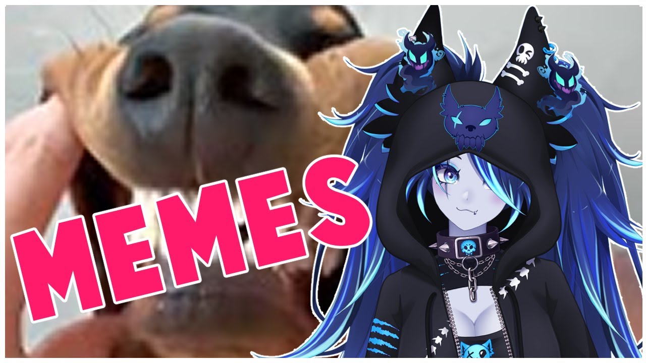 Spite Reacts to FUNNY memes