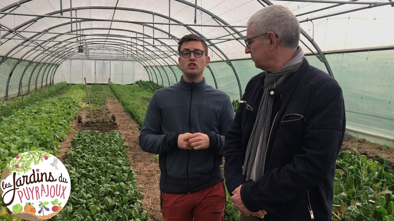 Formation porteurs de projets (permaculture)